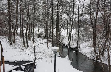 Vodenica Vrelo Chalets - Foto 38