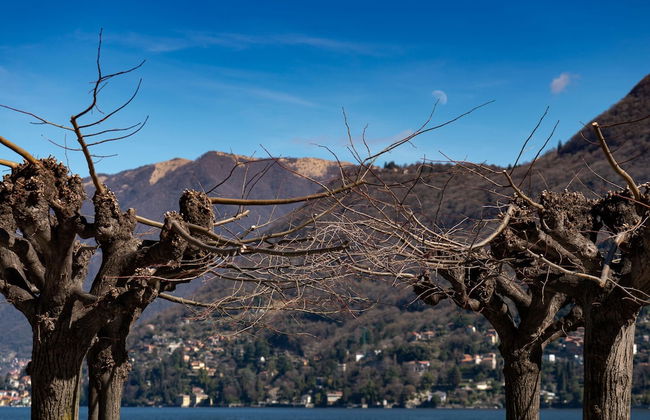 La Antica Cernobbio 3 - Foto 28