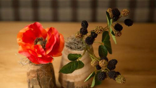 Haus im Moos - Chiemgau Karte - Foto 3