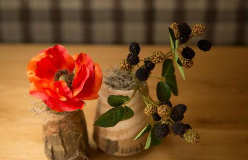 Haus im Moos - Chiemgau Karte - Foto 3