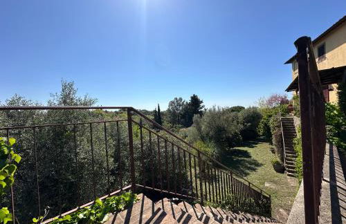 Casa Belvedere di Bolgheri - Foto 7