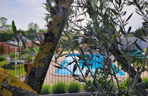 Les chambres d'hôtes d'Eloïse, piscine privée - Foto 11