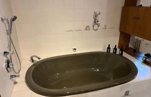 Ferienhaus Natternberg Spacious apartment large living room 4 bedrooms garden quiet near Deggendorf - Foto 7