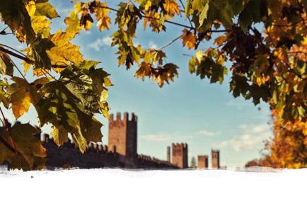 The History Apartment - Photo 8