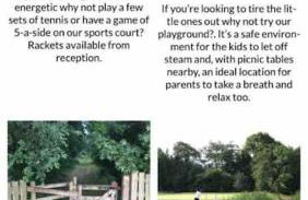 Honeybee Lodge - Foto 54