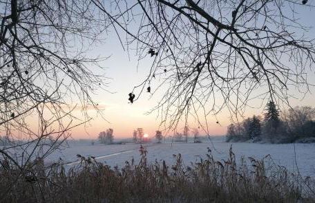 Gästewohnung Schwanenteich - Foto 44