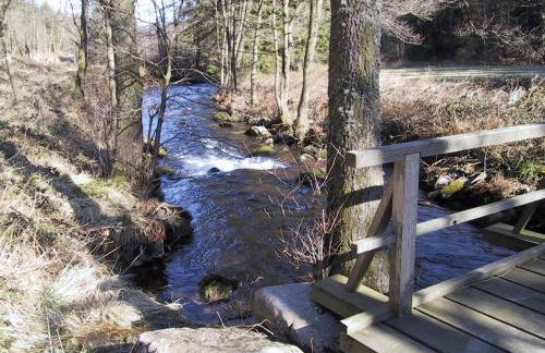 Ferienwohnung Kuckuck auf dem Sommerberg incl Schwarzwald Plus-Karte - 2 Zimmer 50qm - Foto 68