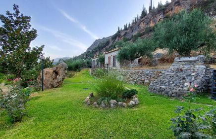 homonatura petrinum - Foto 1