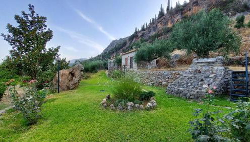 homonatura petrinum - Foto 1