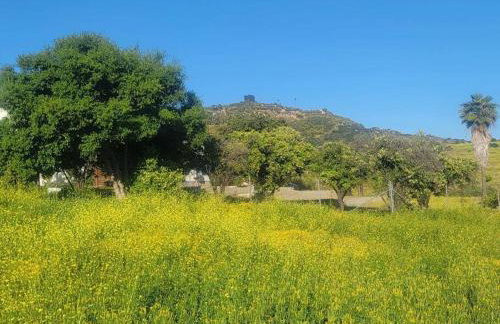 Exotic Gem Relaxing Farm Vibes Near Safari Zoo, Legoland & Wineries - Foto 53