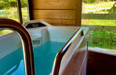 O et Terre, gite ressourcement bains spa cryo sauna et foret - Foto 18