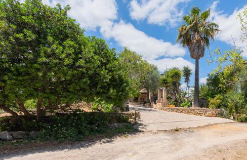 Hortella Ecofinca in San Juan - Foto 86