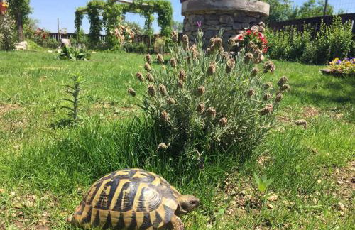 Kuća za odmor Joko i Jeka - Foto 41