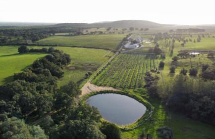 Quinta do Pé da Charca - Foto 31