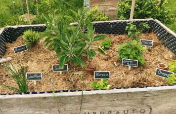 Sonnenhaus Leo Hutthurm - Foto 15