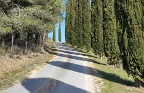 Il Poggio di Teo - Foto 45