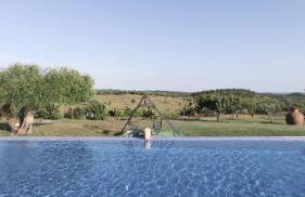 Herdade Terra rica - Photo 17