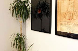 Regouro - an Hidden Gem in Douro Valley - Foto 18