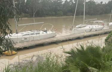 Iberia del Guadalquivir - Photo 42