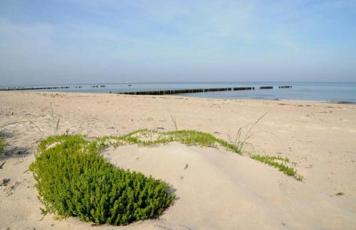 Strandhafer Aparthotel - Photo 67