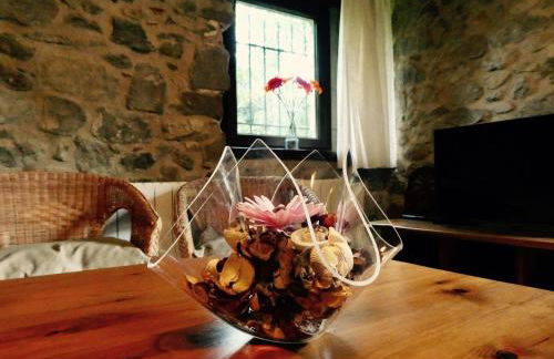 El Bosqueró de La Garrotxa - Foto 8