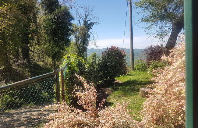 Agriturismo Piccola Raieda - Photo 63