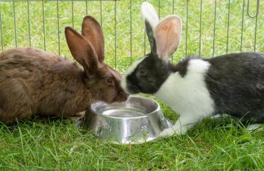 Landhaus Brunner Beim Veit - Foto 21