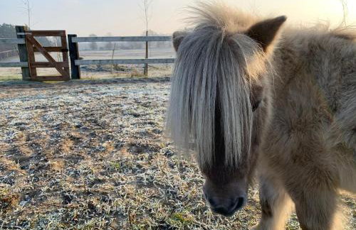 Toskania Kociewska - Photo 23