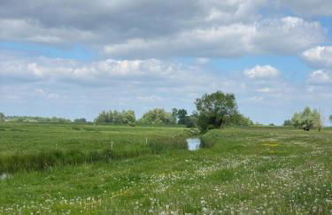 Landliebe Aulosen - Foto 32