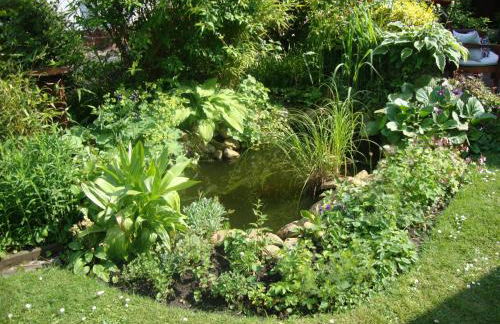 Tauchparadies Kreidesee - Foto 9