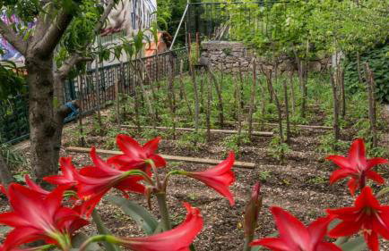 Apartment Klepo - Foto 32