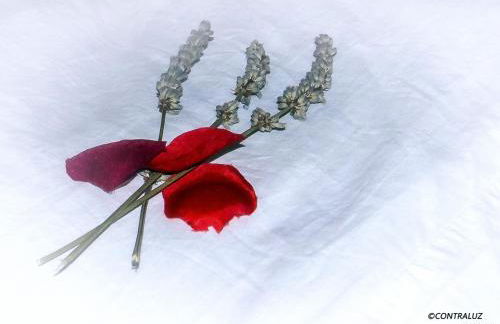 La Posada De Lola - Foto 22