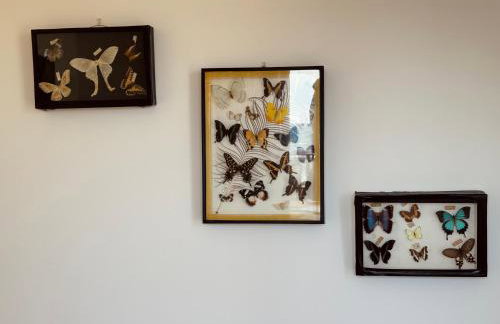 Grande terrasse face à la mer - Casa di Virginie - Photo 41