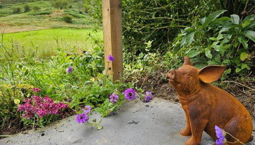 Newland Valley Log Cabins - Foto 5