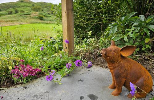 Newland Valley Log Cabins - Foto 5