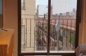 APARTAMENTO LOS BÚHOS - Foto 2