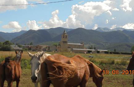 Casa de piedra y madera vistas a montañas y prados - Foto 41