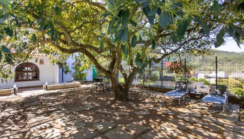 Tegueste Charming House - Foto 4, Garden, Garden view