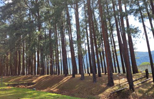 Loft Condado Bl 2 Ap 116 Aldeia dos Reis Sahy - Foto 13