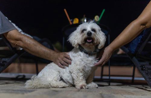 Villa Akulica - Foto 19