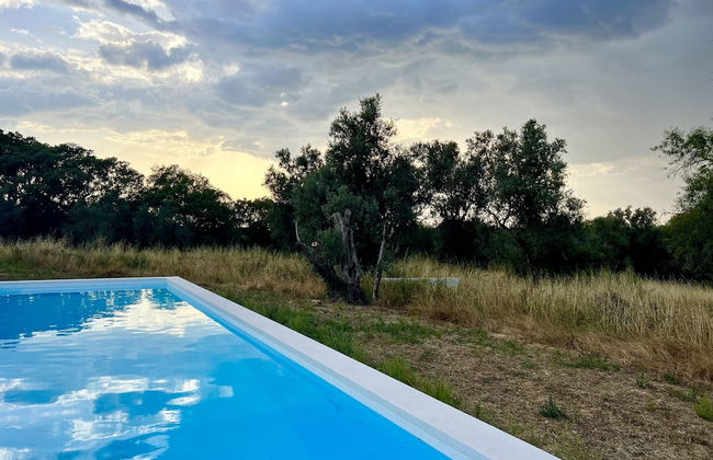 Fazenda do Pomar - Foto 46