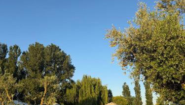 Agriturismo I Bosconi - Foto 3