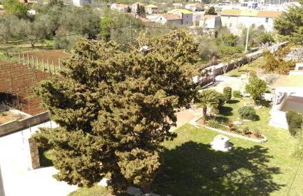 Apartments Lena - Photo 28