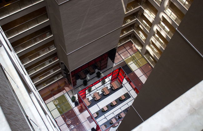 D&D Suites Flora - Foto 32