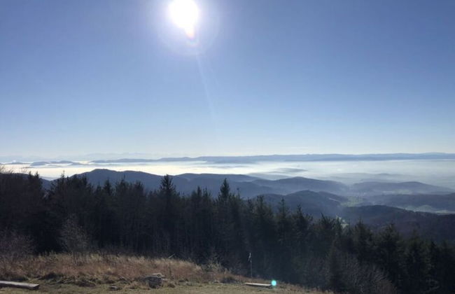 Apartment at the Edge of the Forest - Foto 35