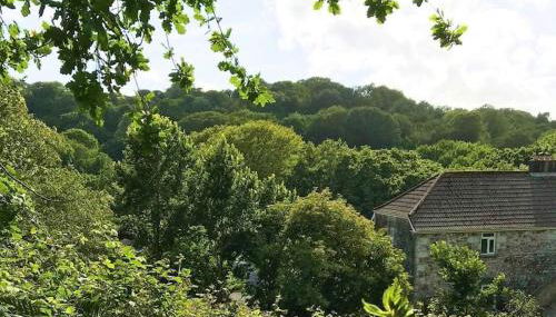 Cosy retreat in beautiful Cornwall - Foto 2