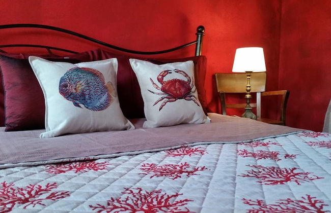 Agriturismo Gocce di Luna - Foto 6