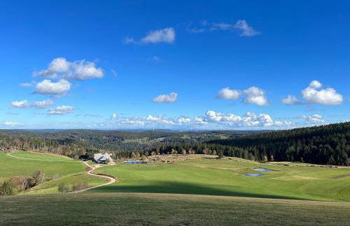 Apartment Schwarzwald-Anni Pool Tennis Sauna - Foto 66