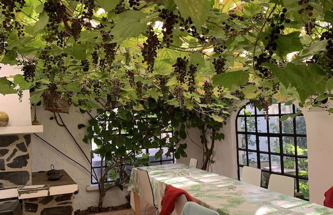 Bäddar & Ängar - Photo 54