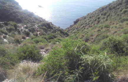 Appartement bord de mer-Aguilas - Foto 23